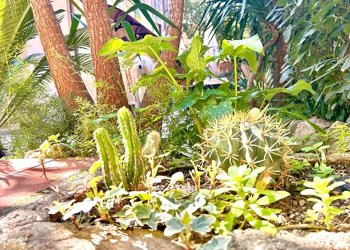 Isola Roger - Con Giardino A