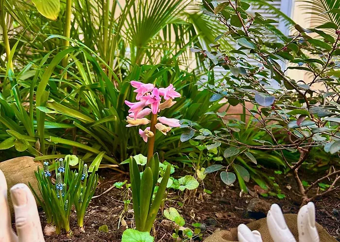 Isola Roger - Con Giardino A Vakantiehuis *
